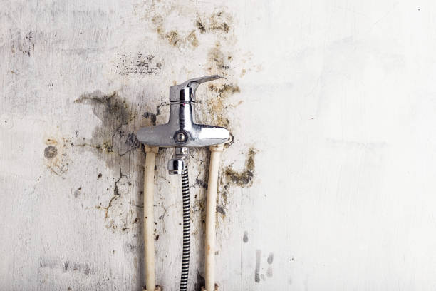 Best Office Mold Removal Services  in Bunker Hill, OR