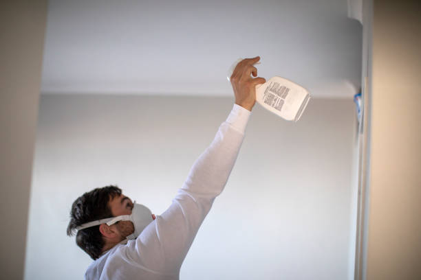 Best Mold Removal and Inspection  in Bunker Hill, OR