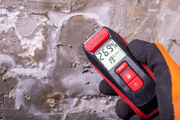 Best Mold Remediation Services  in Bunker Hill, OR