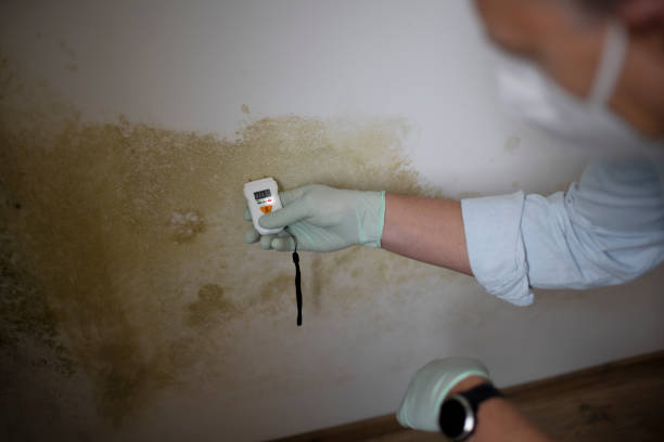 Best Residential Mold Removal  in Bunker Hill, OR