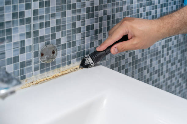 Best Black Mold Removal  in Bunker Hill, OR