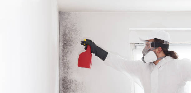 Crawl Space Mold Removal in Bunker Hill, OR