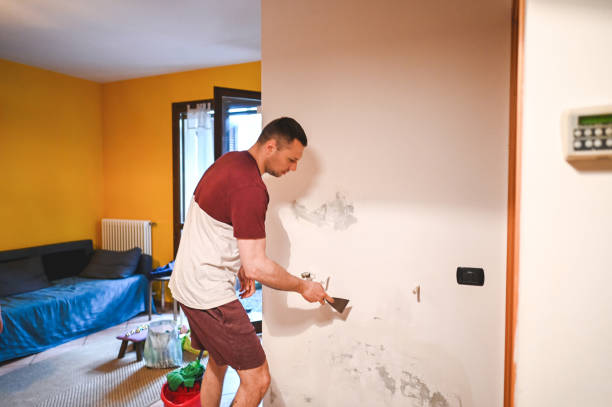 Best Mold Removal and Inspection  in Bunker Hill, OR