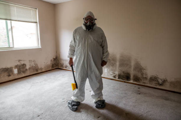 Best Mold Damage Repair  in Bunker Hill, OR
